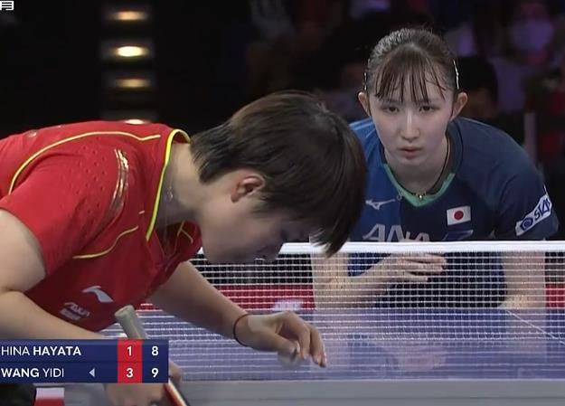 他们不仅是 他们不仅是